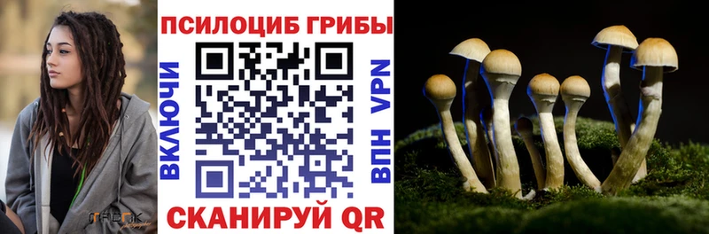 omg как войти  Апатиты  Псилоцибиновые грибы Magic Shrooms  как найти закладки 